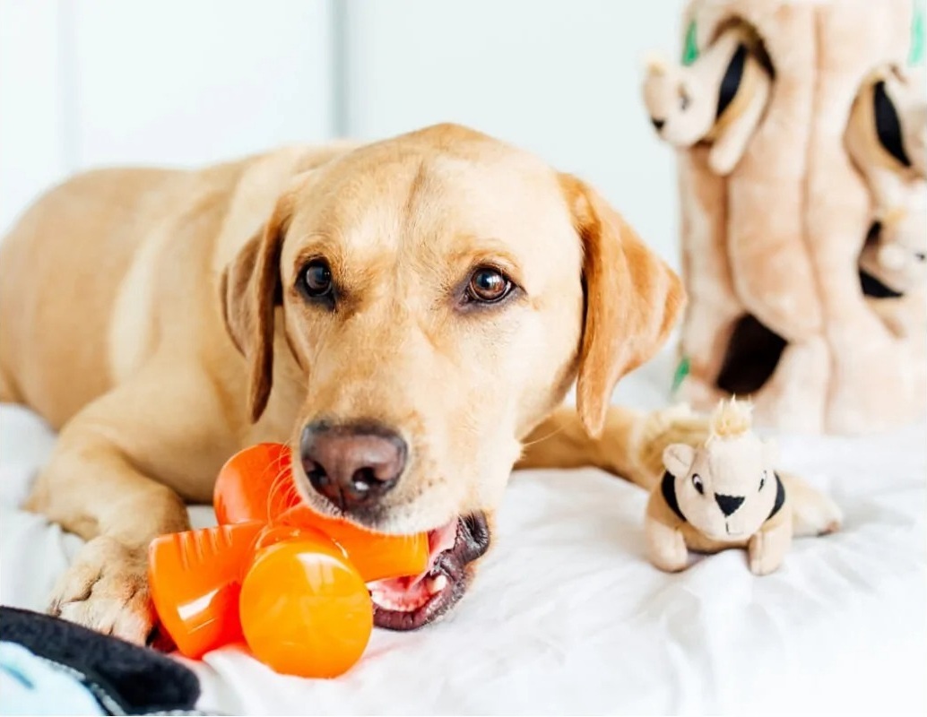 Іграшка для собак Outward Hound Bionic Opaque Stuffer для ласощів зеленафото3