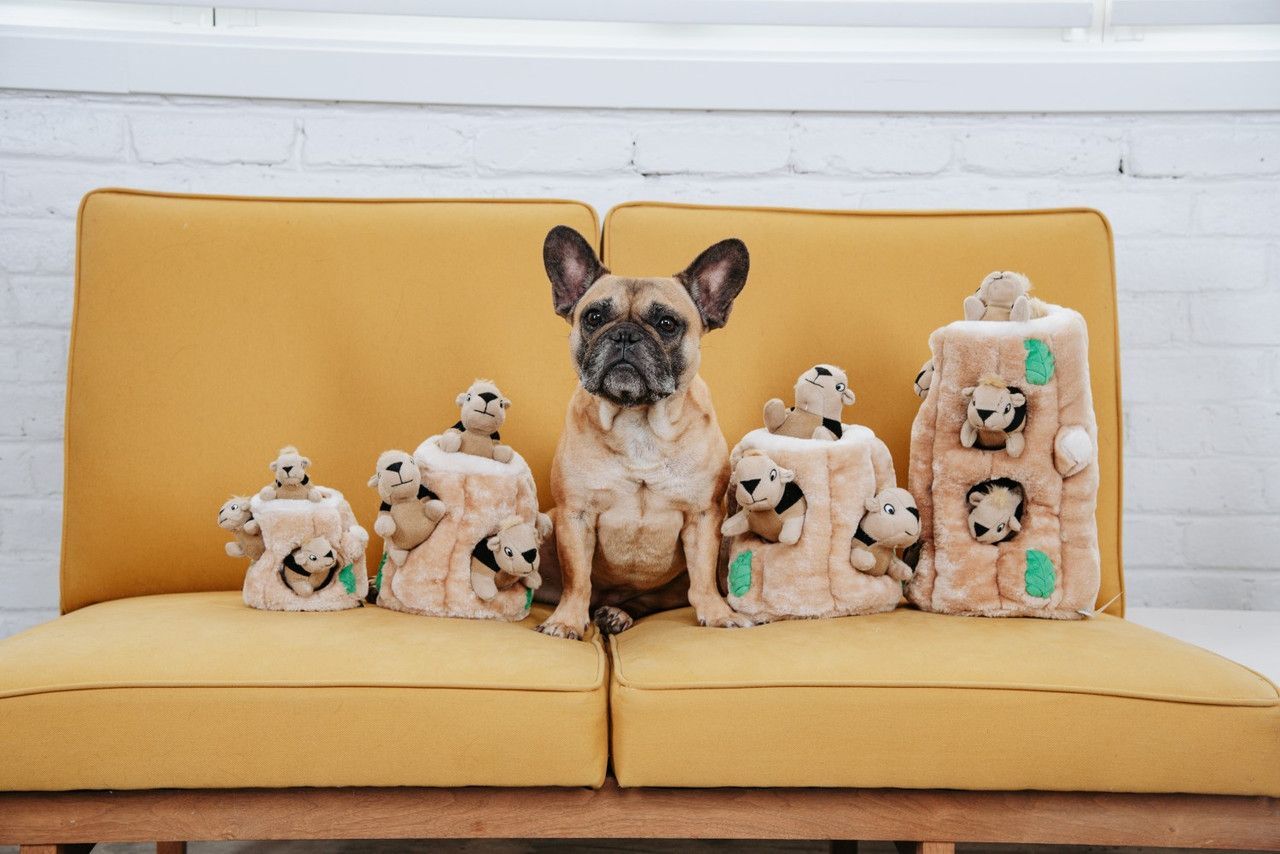 Іграшка інтерактивна для собак Outward Hound Білка-Схованка маленька коричневафото9