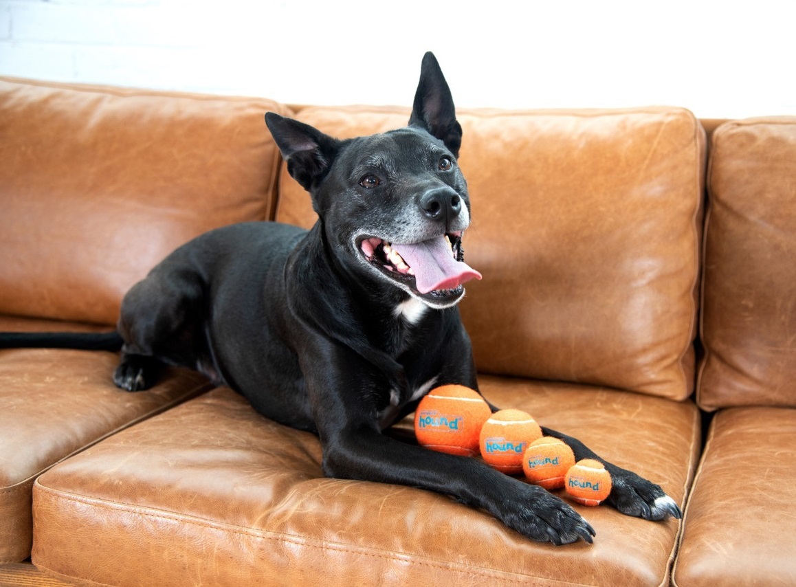 Іграшка-пищалка для собак Outward Hound Тенісні м'ячі маленькі різнокольорові 4штфото8