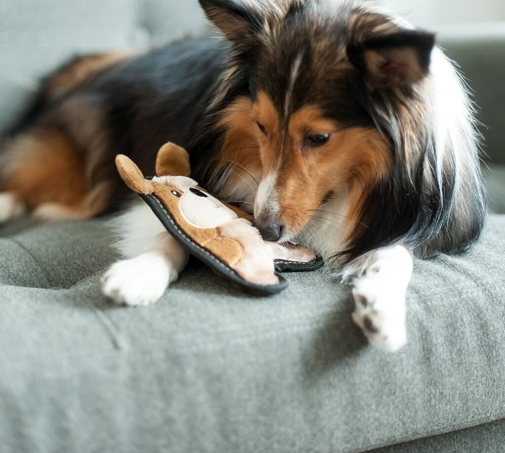 Іграшка-пищалка для собак Outward Hound Цуценя міні коричневефото4