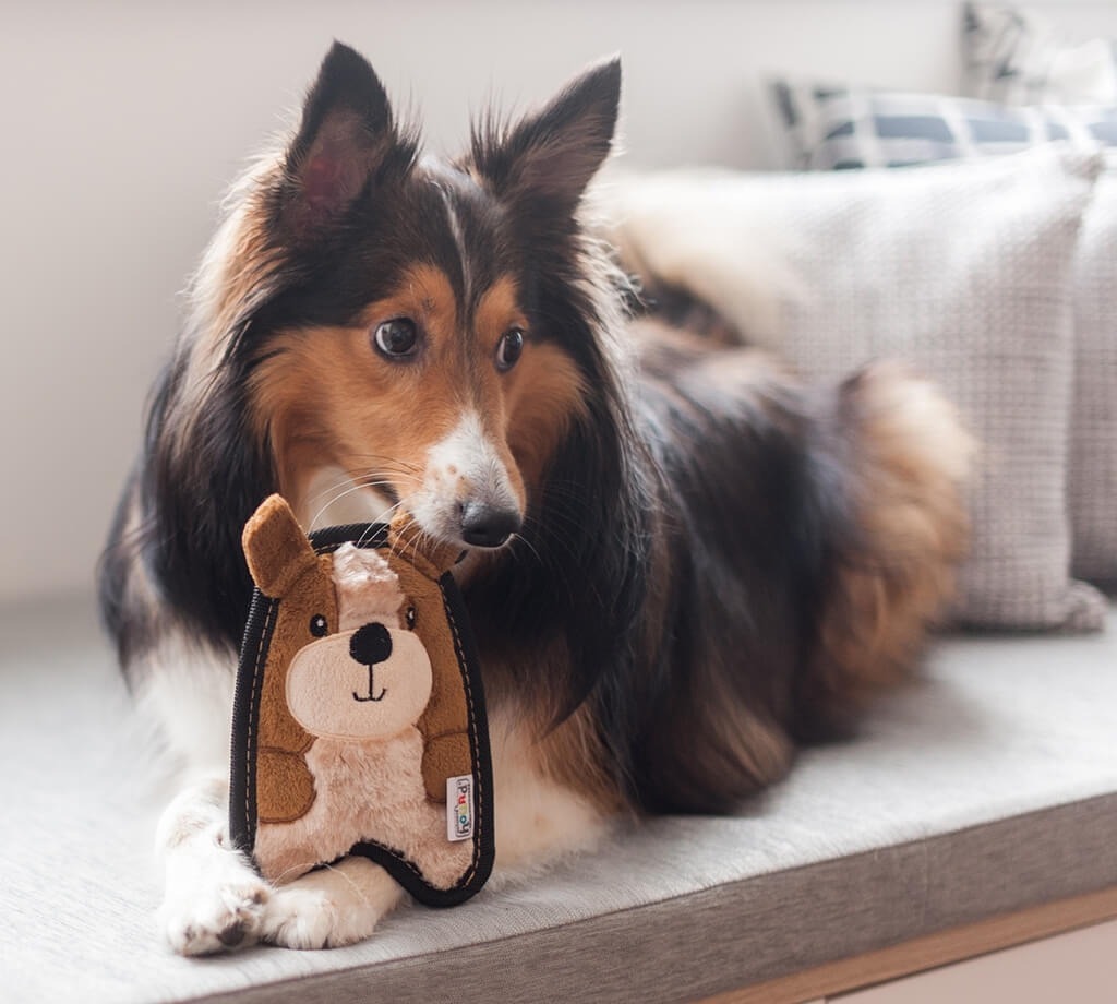 Іграшка-пищалка для собак Outward Hound Цуценя міні коричневефото3