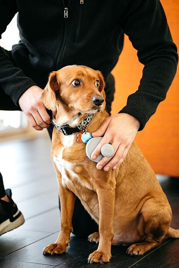 Щетка купания для собак Dexas Brushbuster светло-серая фото 4