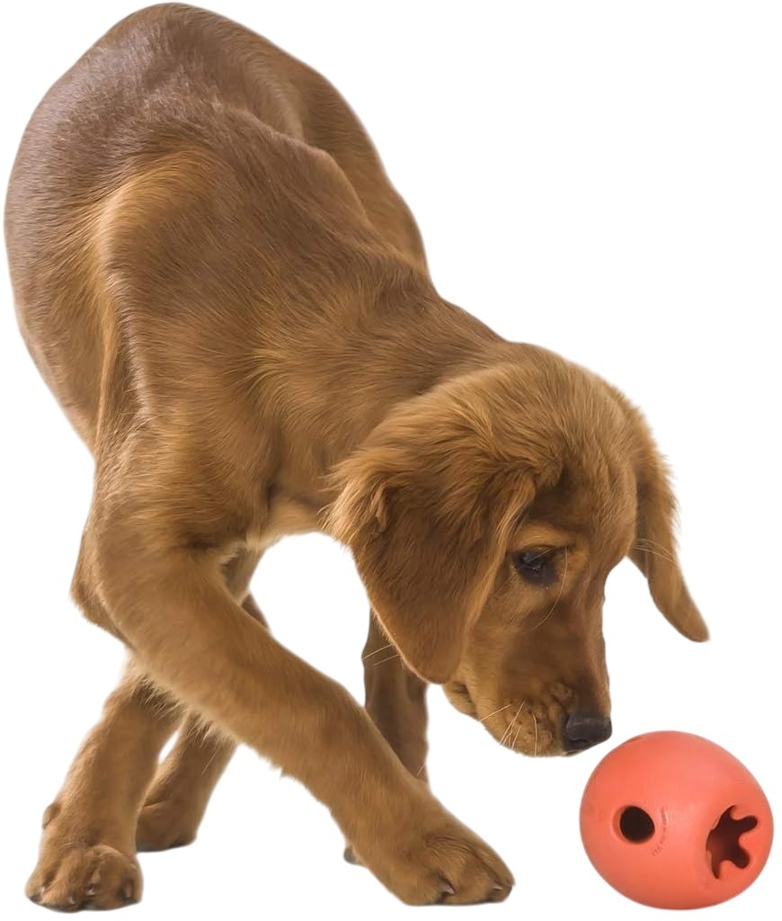 Игрушка для собак West Paw Rumbl Large Melon большой 10см оранжевый фото 6