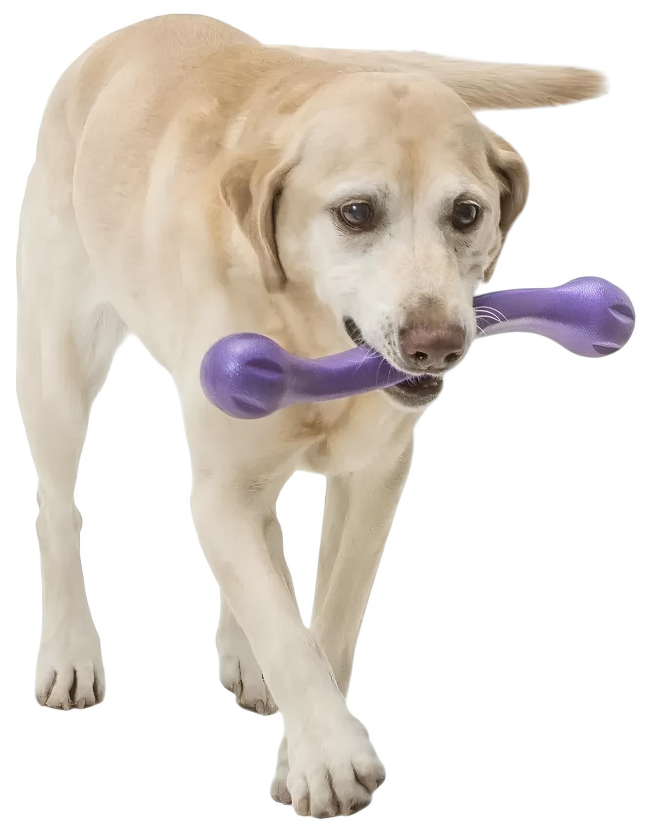 Игрушка для собак West Paw Zwig Large Eggplant ветка большая 35см фиолетовая фото 6