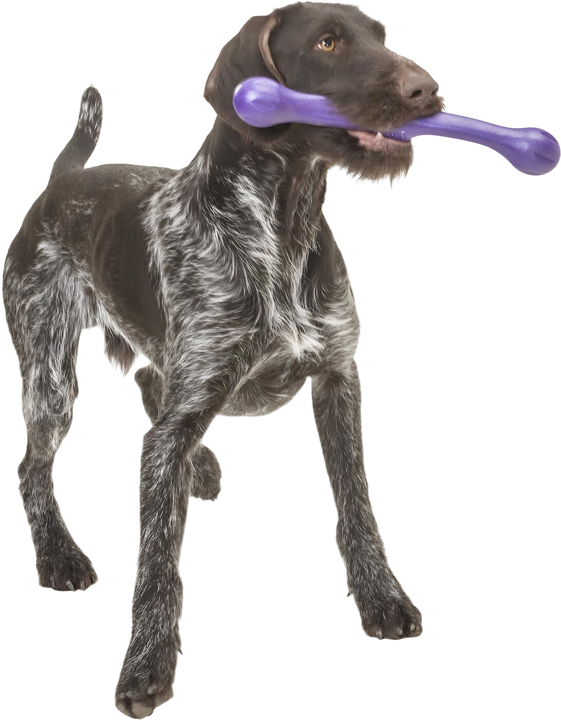 Игрушка для собак West Paw Zwig Large Eggplant ветка большая 35см фиолетовая фото 5