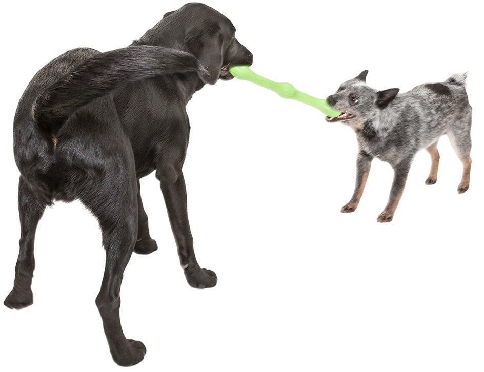 Игрушка для собак West Paw Zwig Large Jungle ветка большая 35см зеленая фото 6