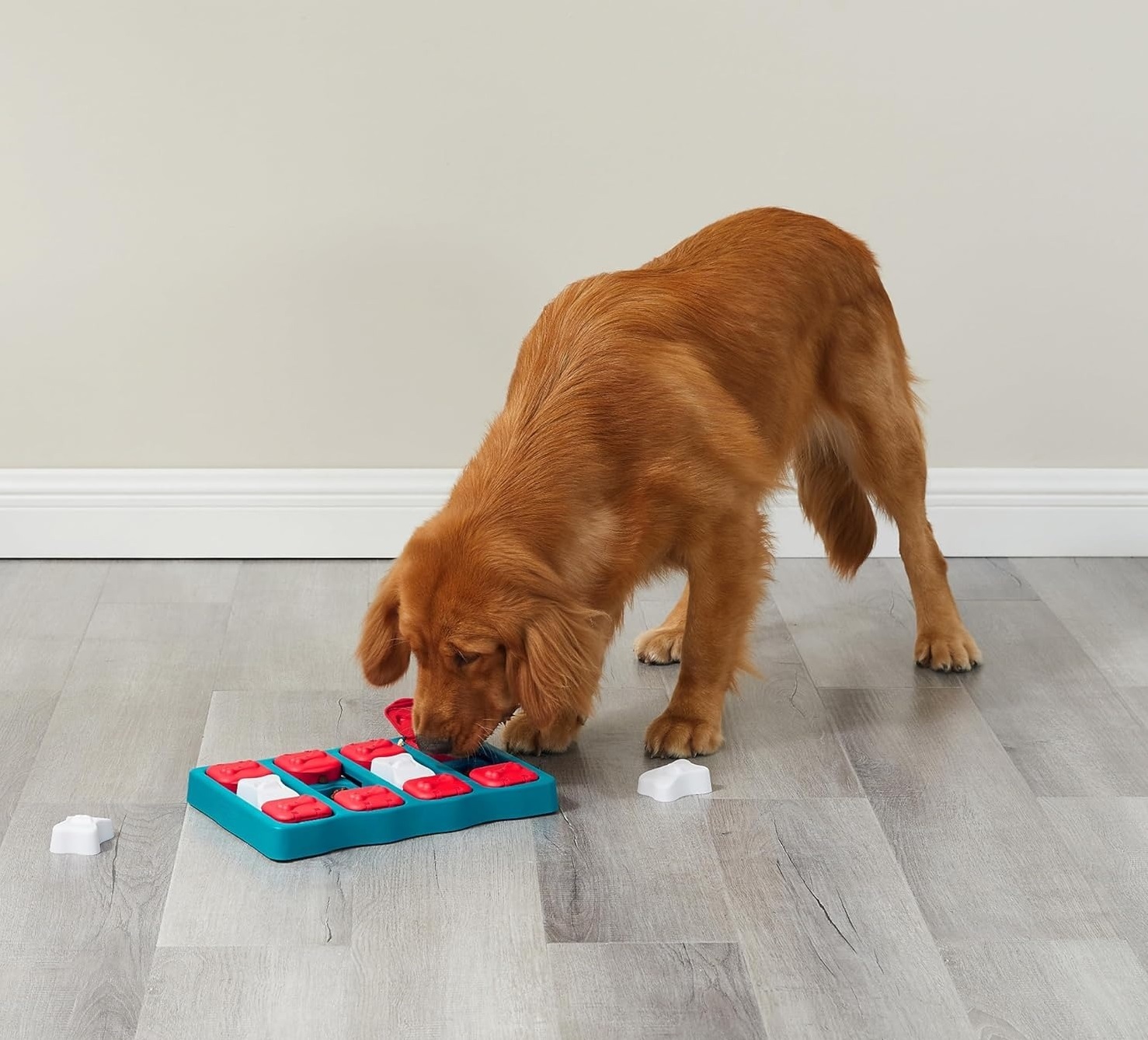 Игрушка для собак Nina Ottosson Головоломка интерактивная зеленая фото 7