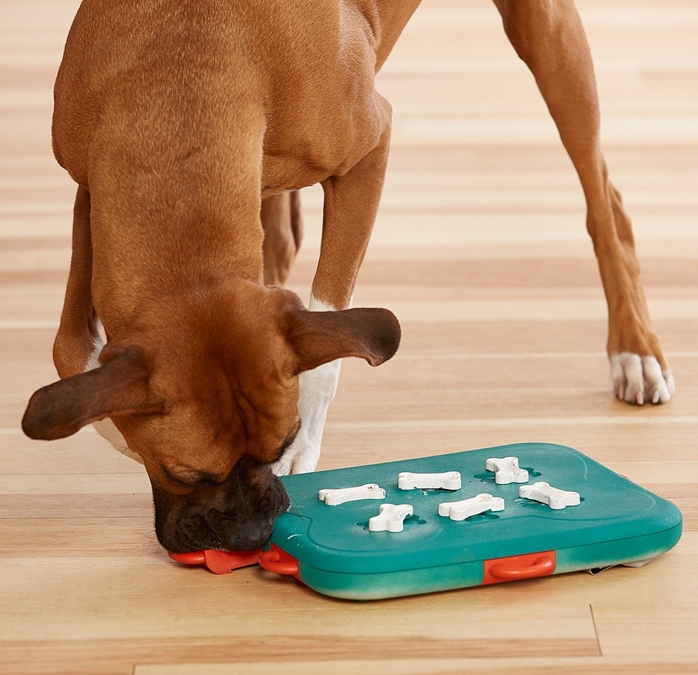 Игрушка для собак Nina Ottosson Головоломка интерактивная Казино фото 7