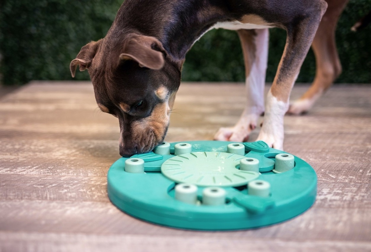 Игрушка для собак Nina Ottosson Ребус интерактивная зелёная фото 6