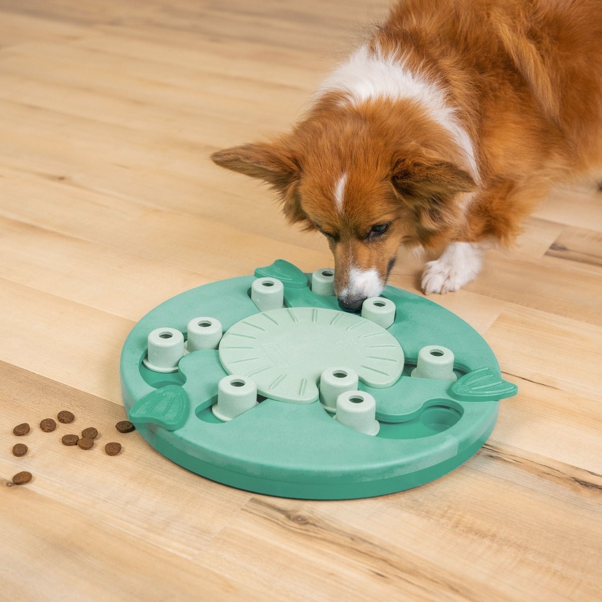 Игрушка для собак Nina Ottosson Ребус интерактивная зелёная фото 7