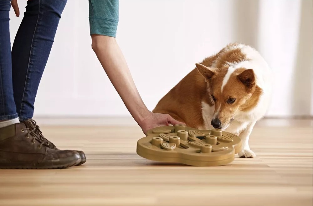 Іграшка для собак Nina Ottosson Тайник інтерактивна бежевафото4