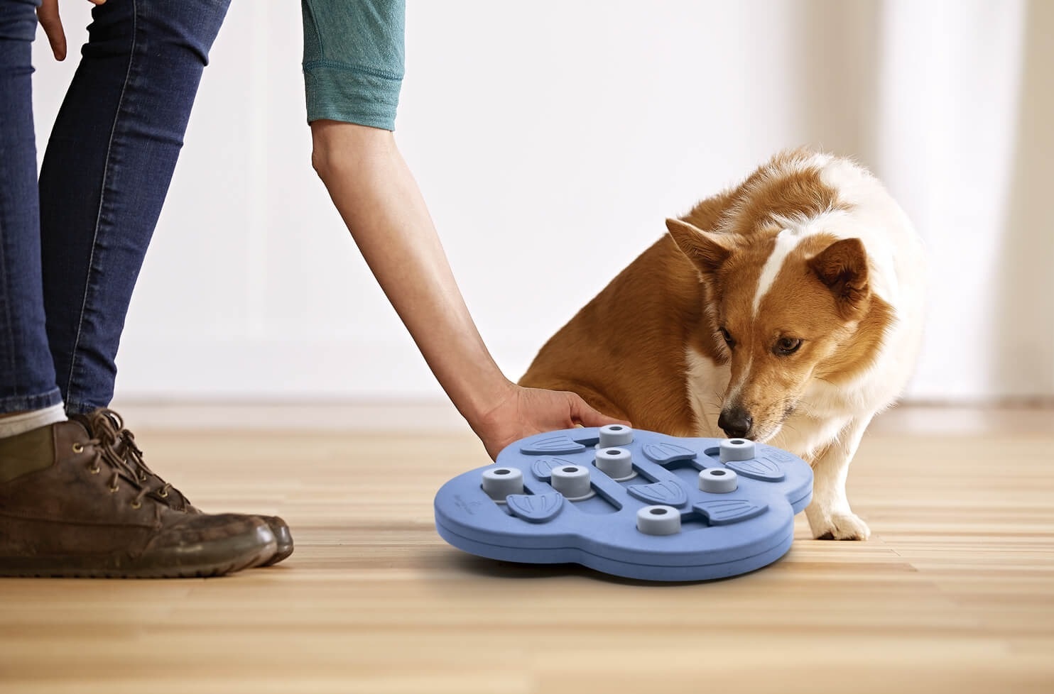 Іграшка для собак Nina Ottosson Схованка інтерактивна фіолетовафото7