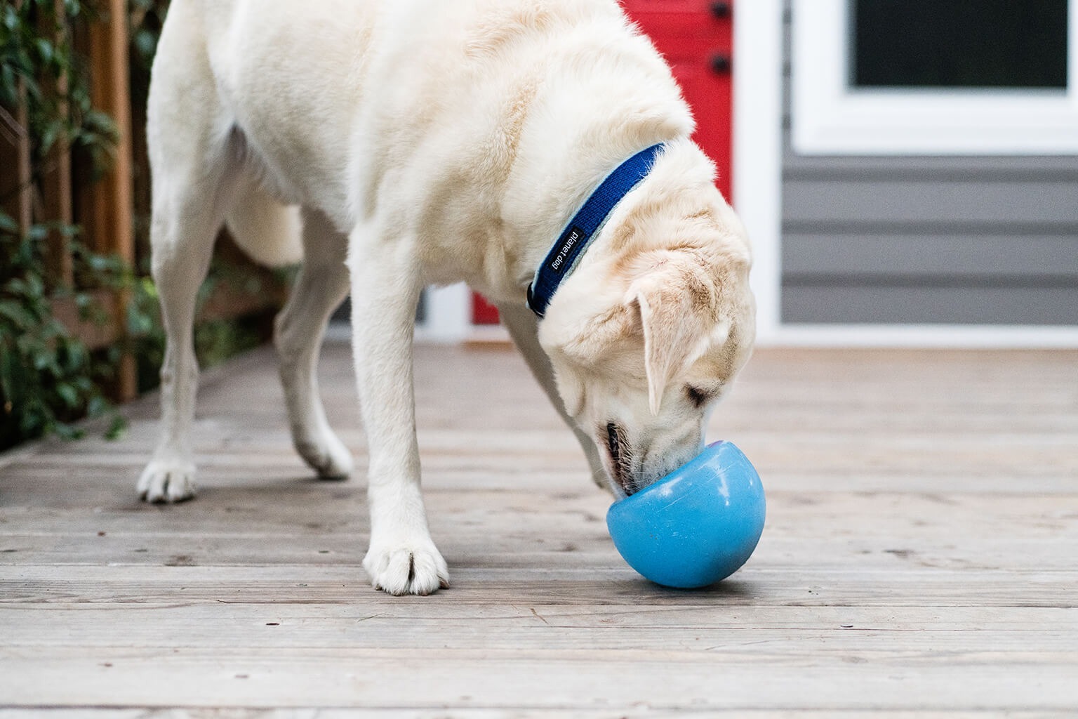 Іграшка для собак Planet Dog Snoop для ласощівфото6