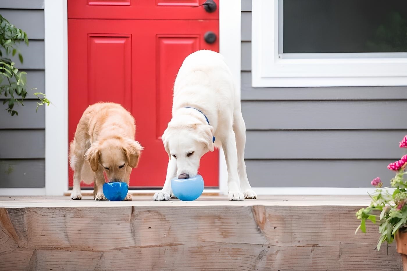 Іграшка для собак Planet Dog Шпигун для ласощів синійфото4