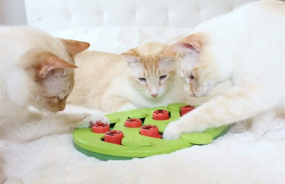 Игрушка для котов Nina Ottosson головоломка зеленая фото 3