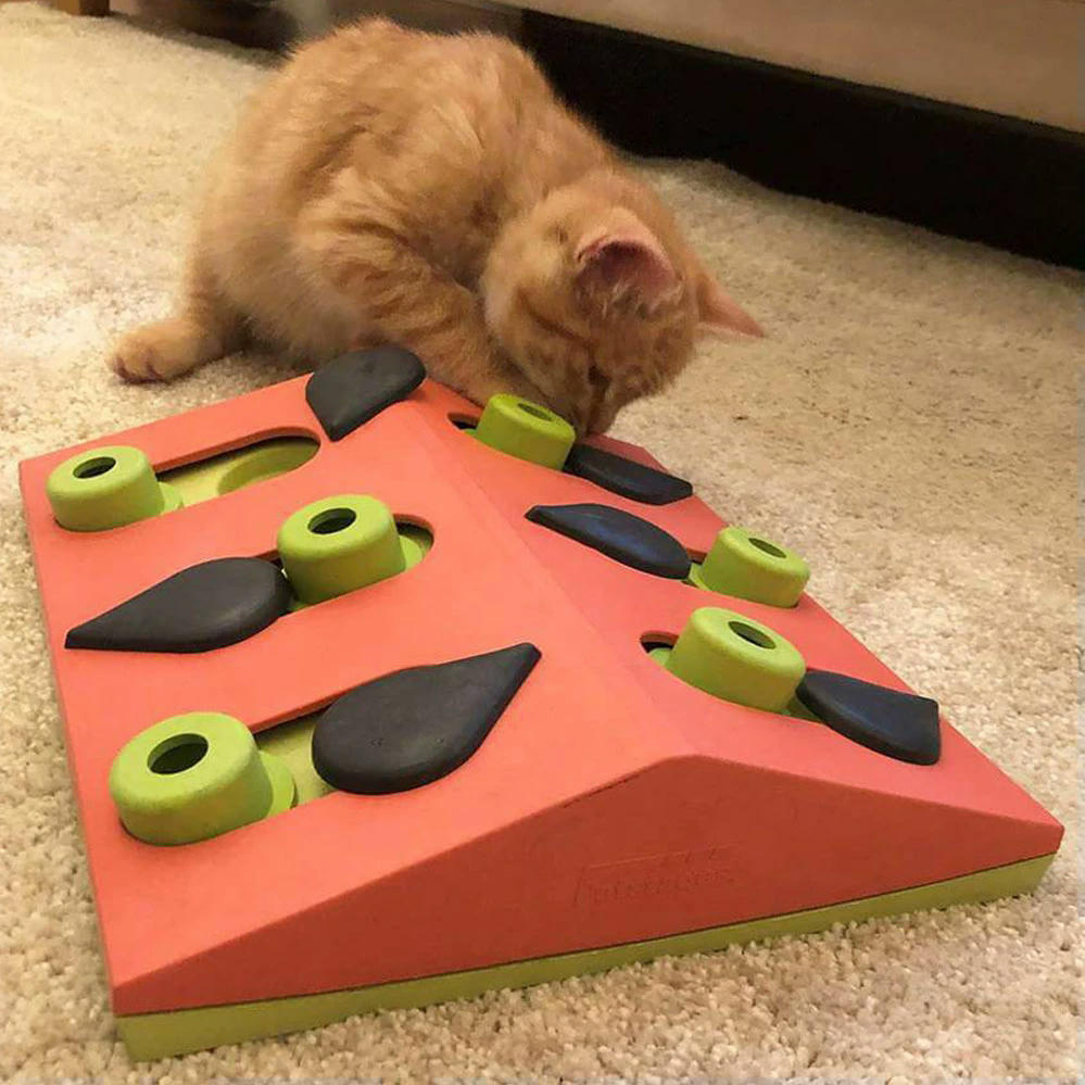 Игрушка для котов Nina Ottosson головоломка Арбуз интерактивная фото 3