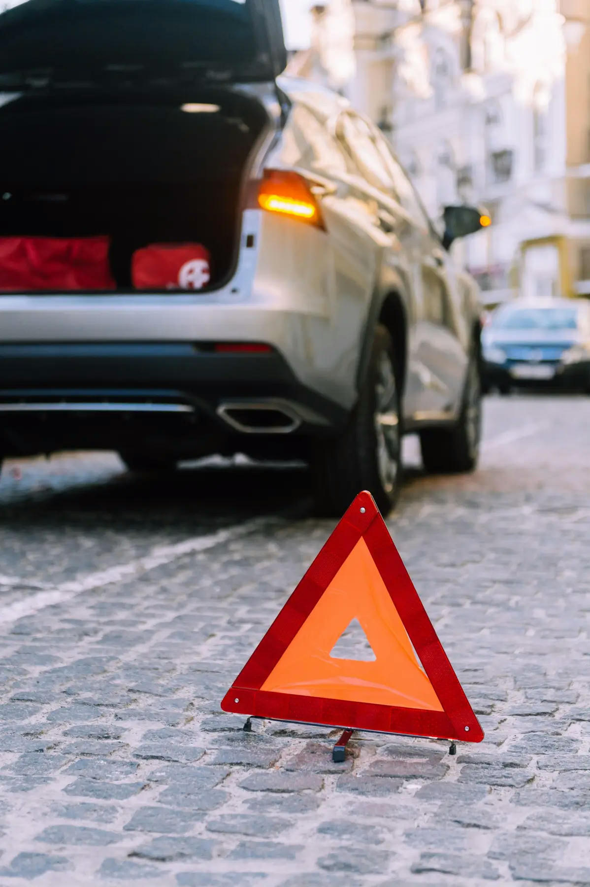 Сумка-набор автомобилиста Poputchik Fiat 2 отдела черная (01-048-IS) фото 6