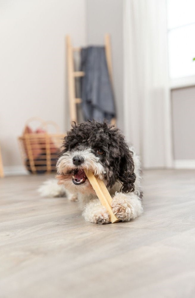 Ласощі для собак Trixie Chewing cheese Жувальний сир M 13.5см 75гфото6