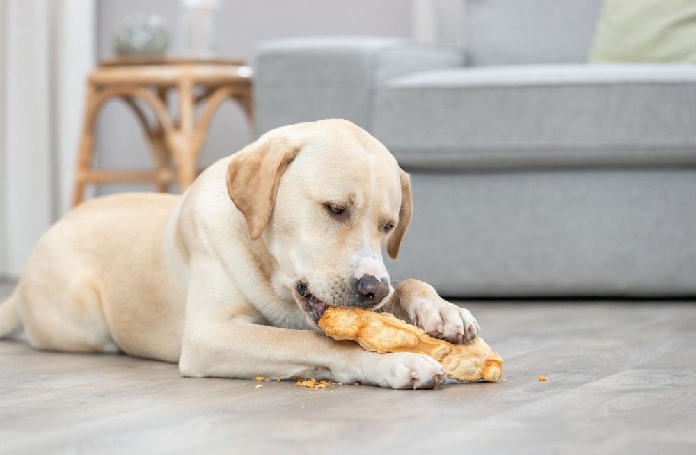 Ласощі для собак Trixie Chewing cheese Жувальний сир M 13.5см 75гфото8