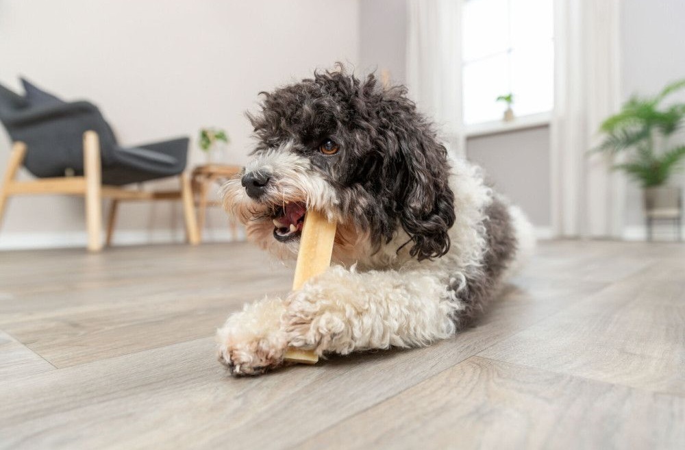 Ласощі для собак Trixie Chewing cheese Жувальний сир M 13.5см 75гфото7