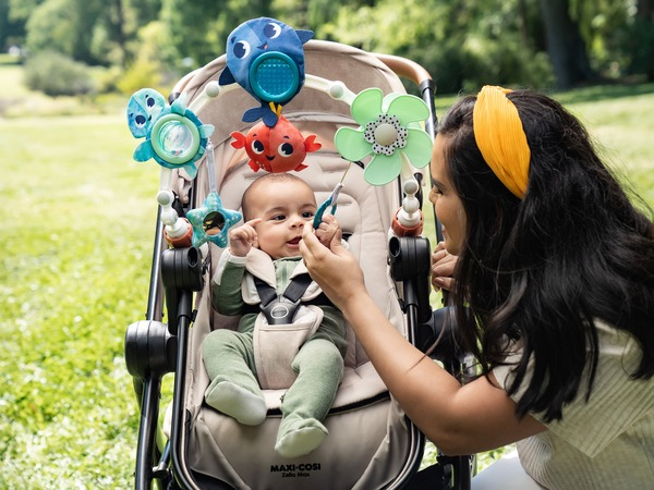 Дуга для коляски TINY LOVE