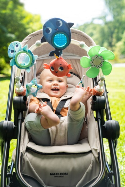 Дуга для коляски TINY LOVE