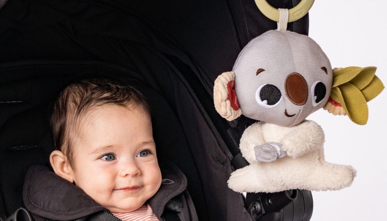 Подвеска-погремушка TINY LOVE