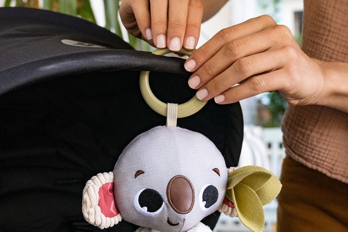 Подвеска-погремушка TINY LOVE