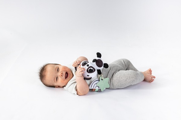 Подвеска TINY LOVE "Панда" c прорезывателем (1118600458) фото