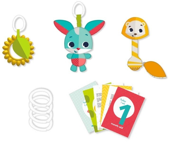 Подарочный набор TINY LOVE 