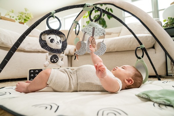 Розвиваючий килимок TINY LOVE День-ніч з дугами (1209206830)фото25