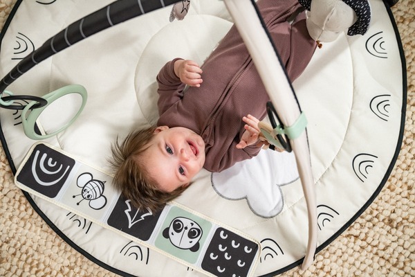 Розвиваючий килимок TINY LOVE День-ніч з дугами (1209206830)фото28