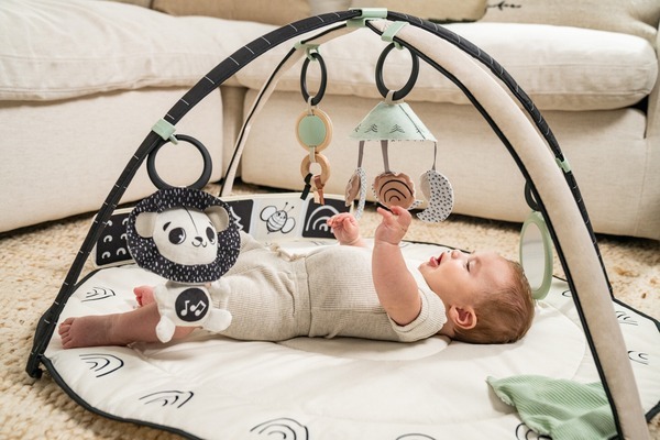 Розвиваючий килимок TINY LOVE День-ніч з дугами (1209206830)фото30