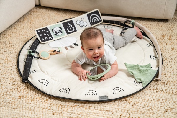 Розвиваючий килимок TINY LOVE День-ніч з дугами (1209206830)фото31