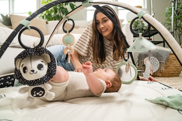 Розвиваючий килимок TINY LOVE День-ніч з дугами (1209206830)фото34