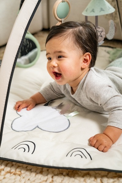 Розвиваючий килимок TINY LOVE День-ніч з дугами (1209206830)фото36