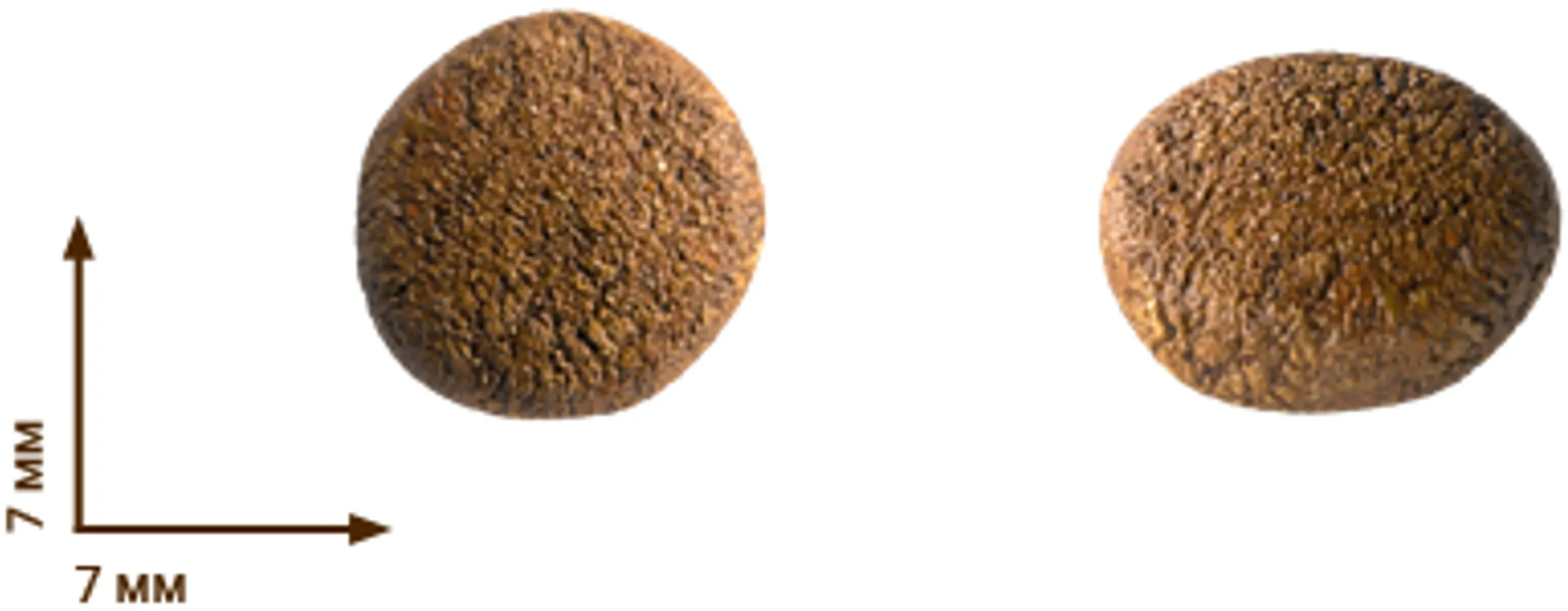 Сухой корм для котят HOME FOOD Ягнятина с рисом 10кг фото 3