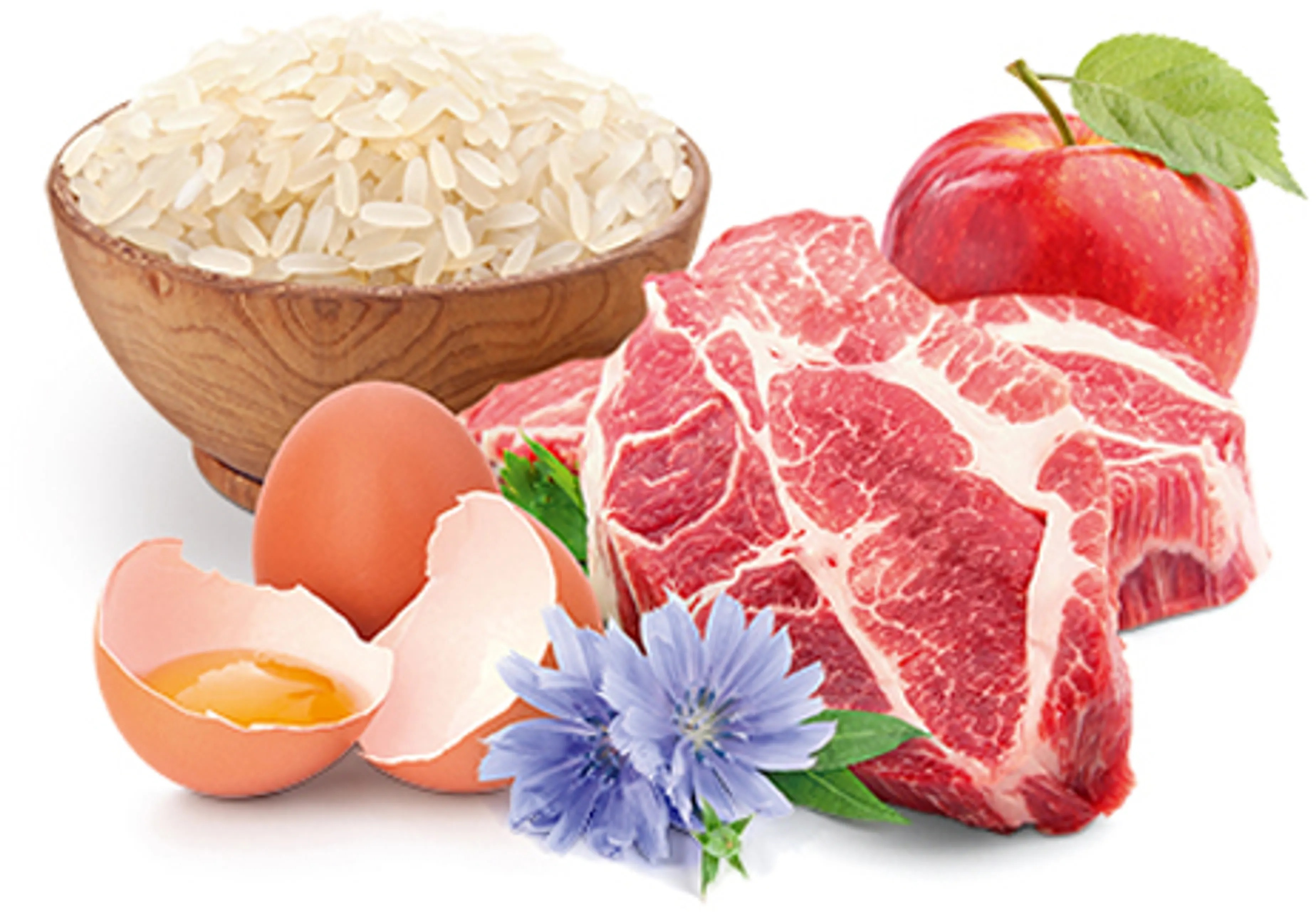 Сухой корм для котят HOME FOOD Ягнятина с рисом 10кг фото 2