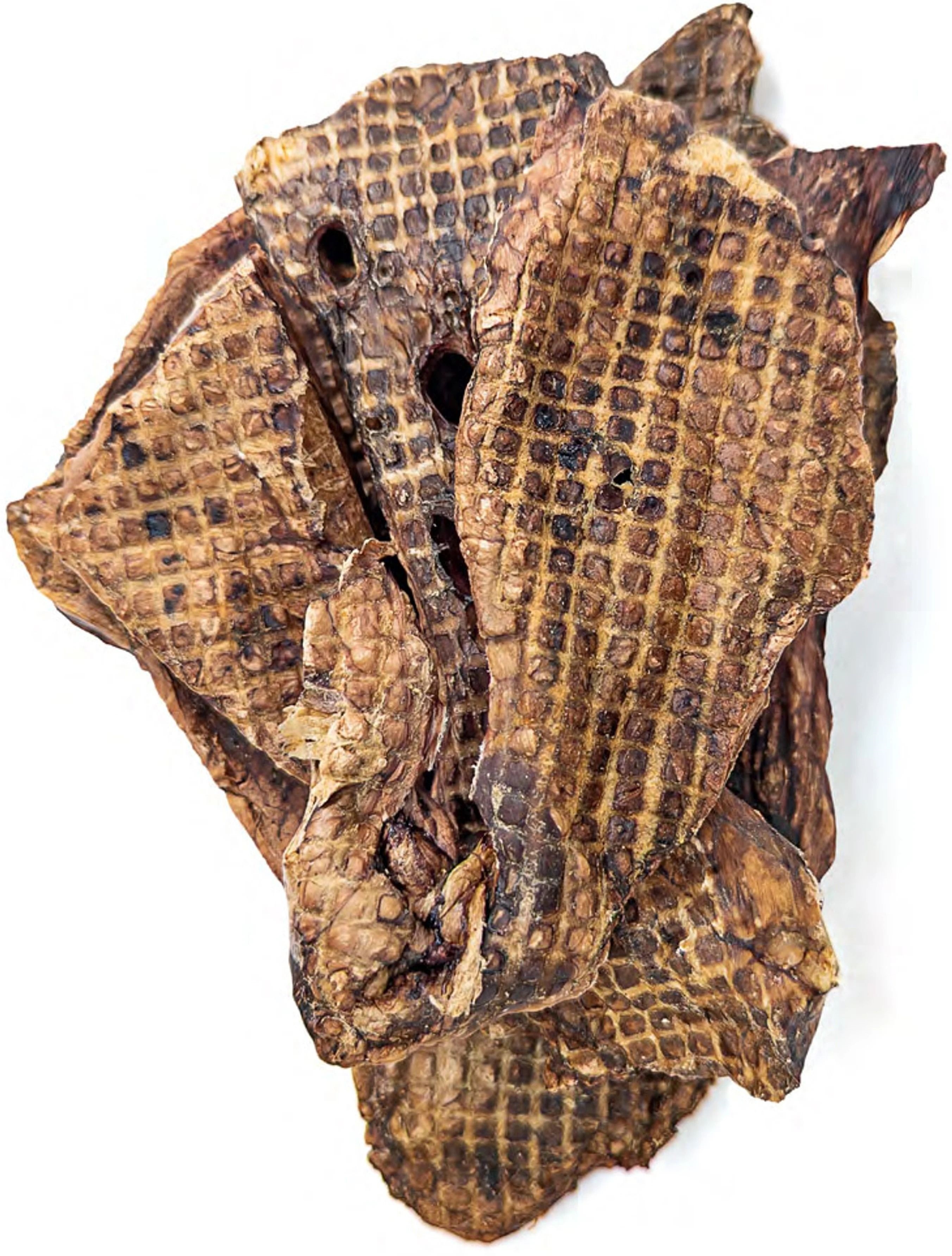 Ласощі для собак HOME FOOD легені яловичі 80гфото2