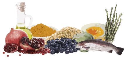 Напіввологий корм для дорослих собак Orygo Turkey з індичкою 8кгфото2