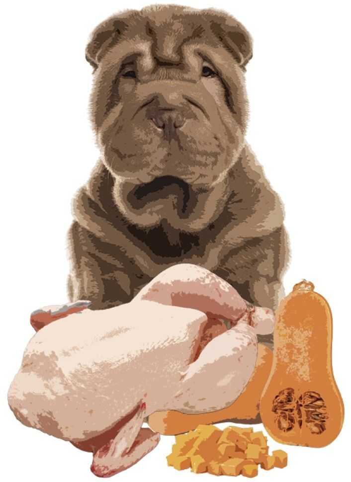 Напіввологий корм для дорослих собак Orygo Turkey з індичкою 8кгфото3