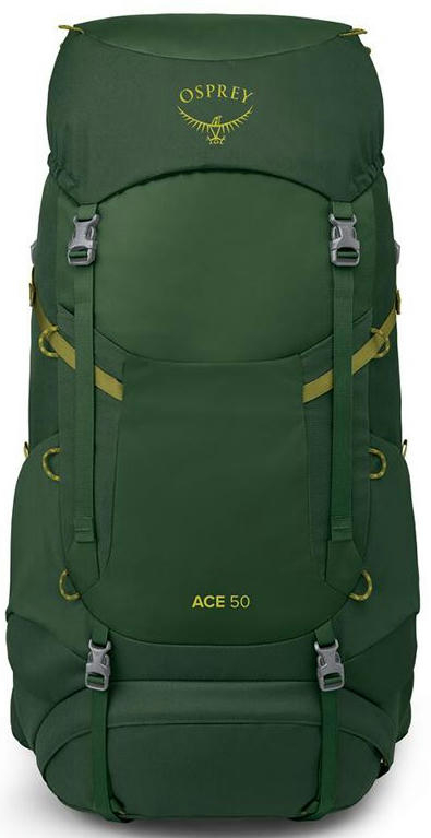 Рюкзак Osprey Ace 50 green canopy O/S зеленый фото 2