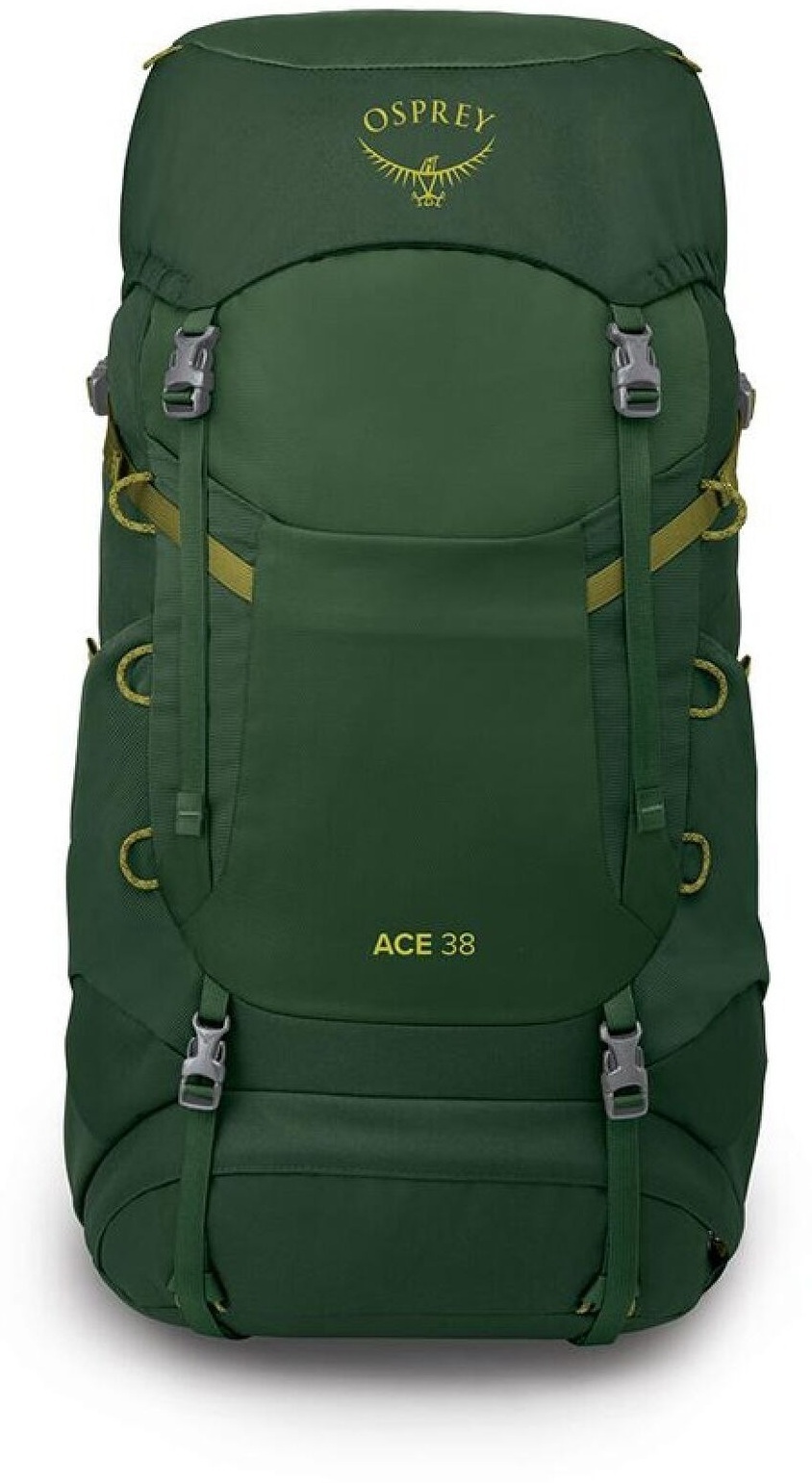 Рюкзак Osprey Ace 38 green canopy O/S зеленийфото3