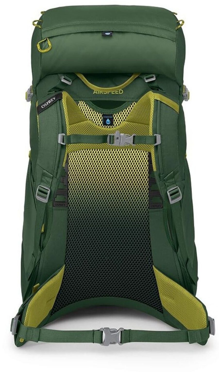 Рюкзак Osprey Ace 38 green canopy O/S зеленийфото4