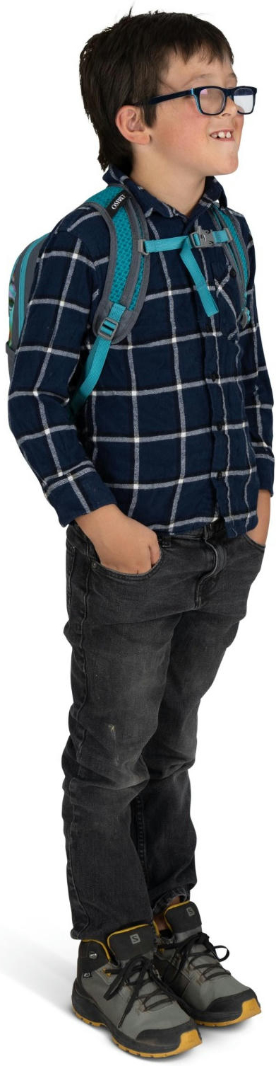 Рюкзак Osprey Daylite Jr euphoria rainbow print/tungsten O/S серый фото 8