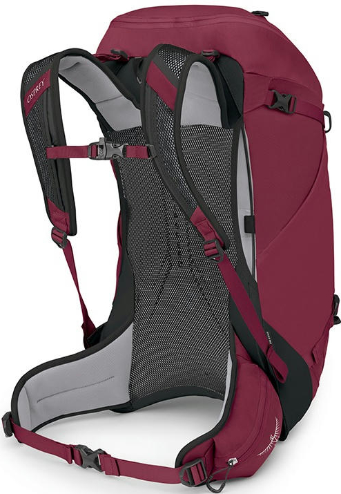 Рюкзак Osprey Hikelite 32 chameleon/black M/L бордовийфото4