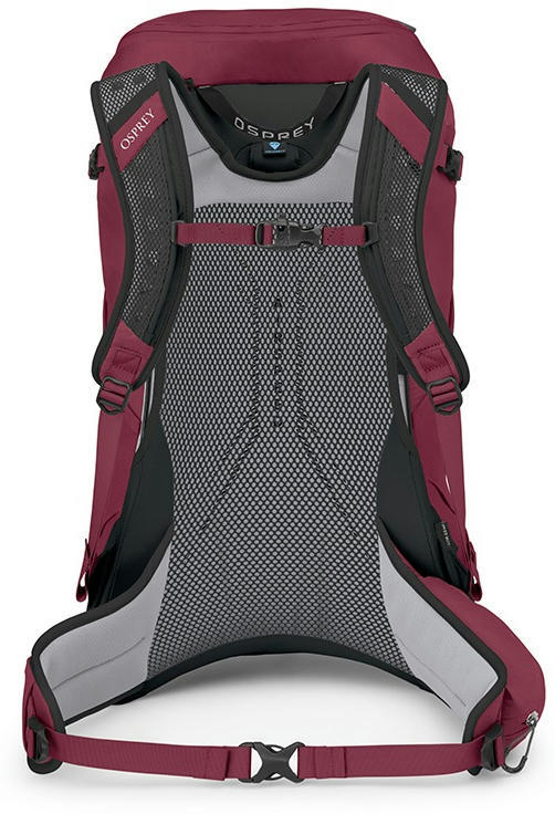 Рюкзак Osprey Hikelite 32 chameleon/black M/L бордовийфото5