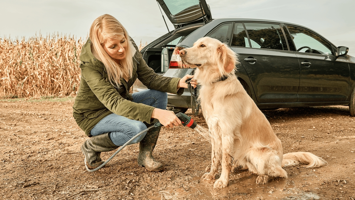 Мінімийка акумуляторна Bosch Fontus 18V 20 бар без АКБ та ЗП (0.600.8B6.102)фото11