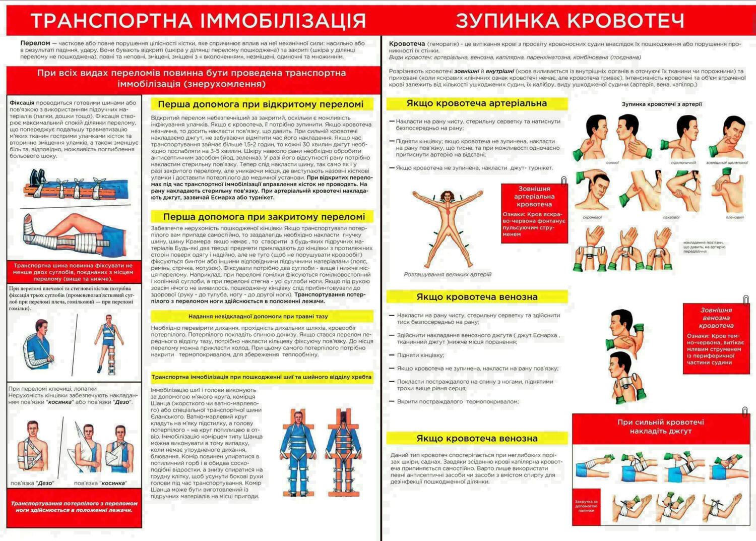 Аптечка школьная Poputchik коллективная (02-068-М) фото