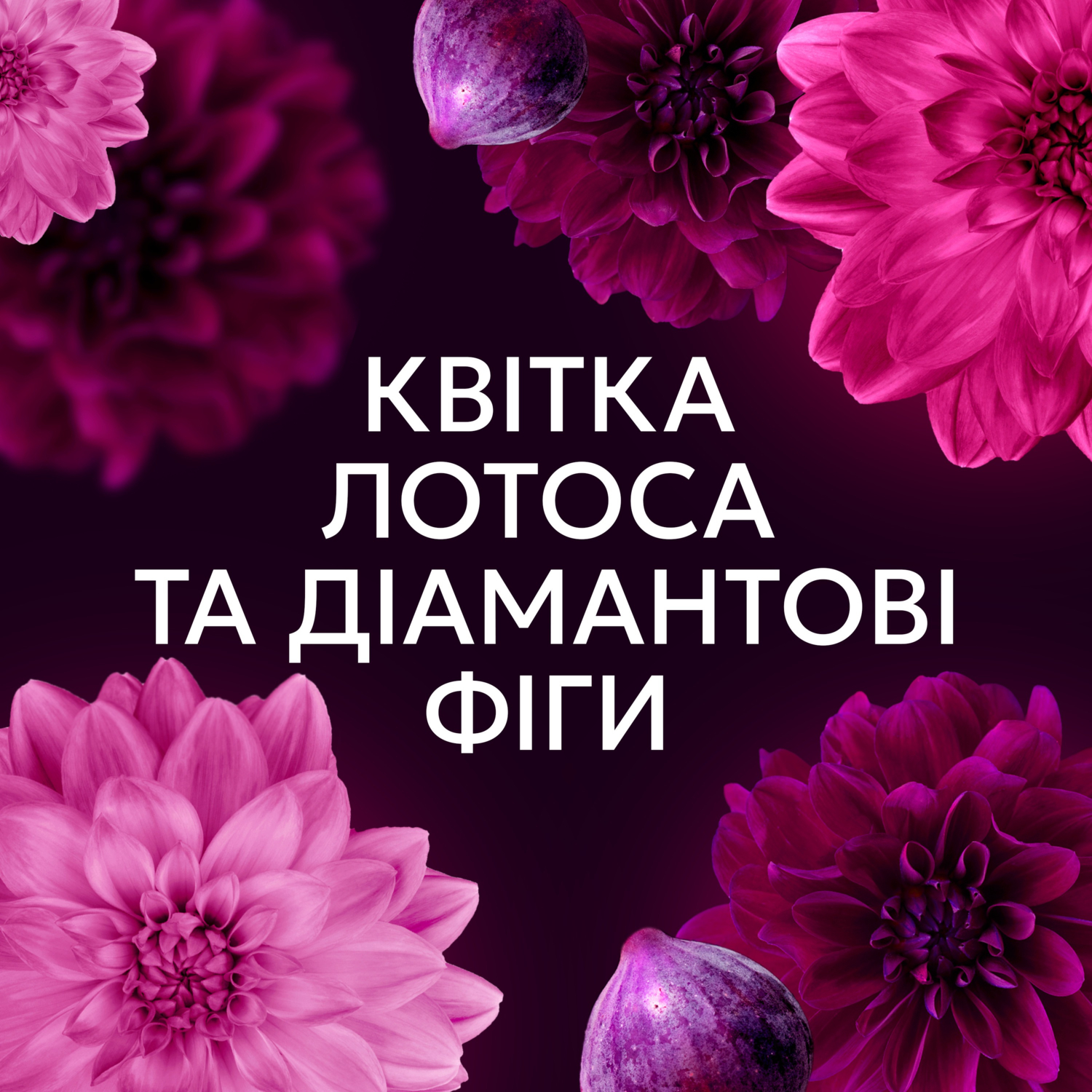 Кондиционер для белья Lenor цветок лотоса и бриллиантовый инжир 675мл фото